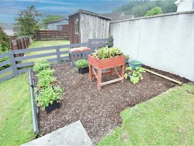 Picture 21